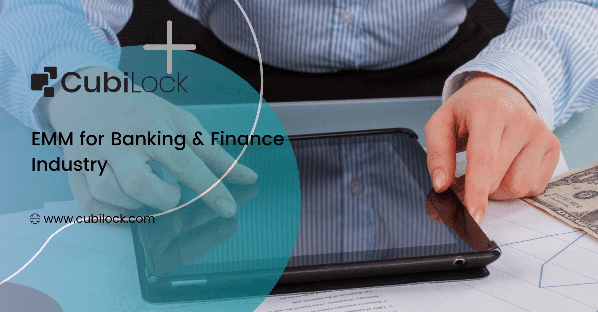 emm for banking and finance