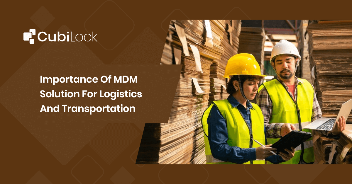 mdm for logistics